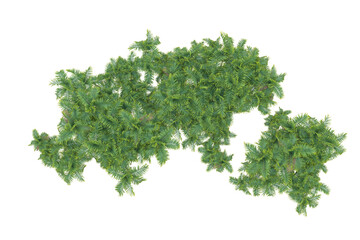 Obraz premium Tropical forest isolated on transparent background. 3d rendering - illustration