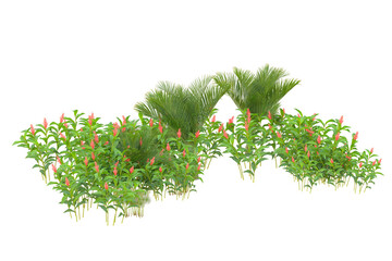 Tropical forest isolated on transparent background. 3d rendering - illustration