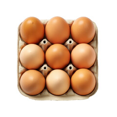 eggs in a box isolated