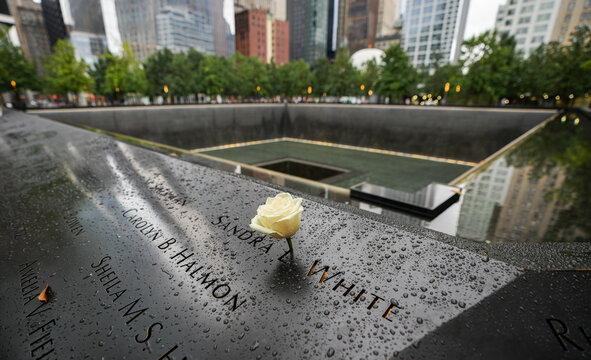 New York, USA - 3 September 2023: 9 11 memorial World Trade Center. Close up photo with a white rose in the place of tragic terrorist attacks in America, New York.