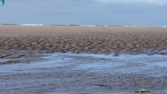 Sandstorm on the beach of Texel, the Netherlands. The beach with sea foam on a windy day. Den Helder