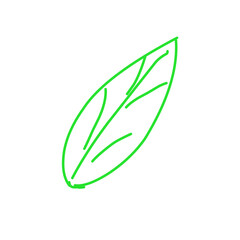 Leaf line icon