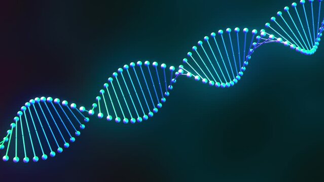 Looping animation of rotating DNA model