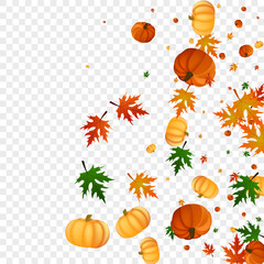 Red Plant Background Transparent Vector. Colorful November Banner. Burgundy Vegetable Nature Illustration. Leaf October. Drawing Card.