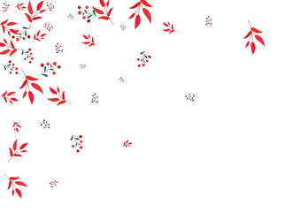 Pink Foliage Background White Vector. Leaves Realistic Card. Green Herb. Burgundy Berries Dead. Object Design.