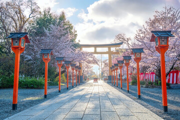 Fototapeta na wymiar Kyoto, Japan - March 29 2023: Hirano-jinja is the site of a cherry blossom festival annually since 985 during the reign of Emperor Kazan, and it has become the oldest regularly held festival in Kyoto
