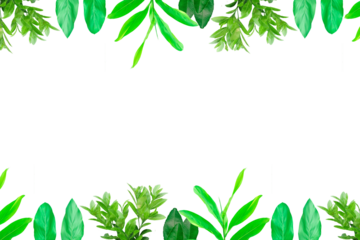 Leaf lemon frame arranged into picture frames, frame Leaf lemon, leaf frame, leaf picture, bright green, natural leaf color, transparent background png file