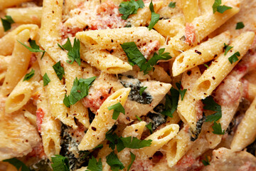 Homemade Creamy Chicken Penne Pasta on a Plate, top view. Flat lay, overhead, from above. Close-up.