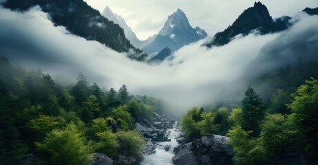 fog-clad mountains unveiling the hidden elegance and serene drama of nature