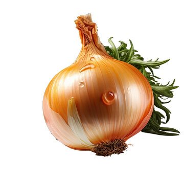 yellow onion . Clipart PNG image . Transparent background . realistic style . Generative AI 