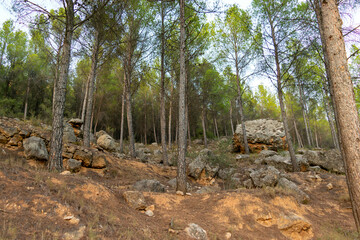 Fototapeta na wymiar Rock formations and remains of old rural constructions in the forest of La Muela mountain in Rincón de Ademuz on the Iberian Peninsula