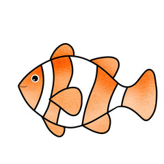 Nemo fish