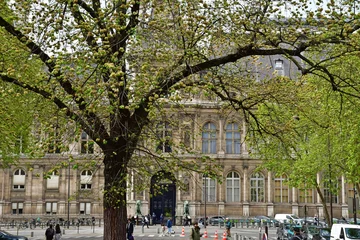 Foto op Canvas Paris  France - april 27 2023 : the town hall © PackShot