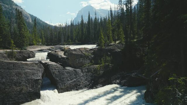 Natural scenic view of a river in Yoho National Park, Alberta, Canada with small mountain and forest in the background on a clear bule sky and rocky moutains range in summer daytime