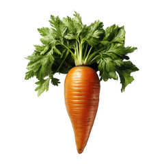 carrot with green leaves . Clipart PNG image . Transparent background . Cartoon vector style . Generative AI
