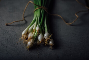 A bunch of freshly picked organic spring onions tied with a string. A rustic photo of green onions...