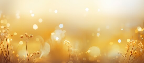 Blurred outdoor background with golden light representing hope and abstract nature vacation in Ramadan