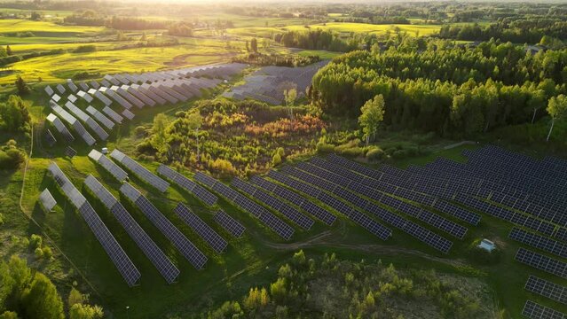  Rows of modern photovoltaic solar panels next to the green agriculture field. Closeup of surface of blue photovoltaic solar panels for producing clean ecological electricity. Located in Estonia