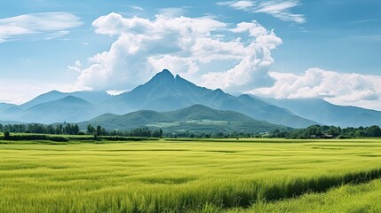 Panorama green rice field with mountain background. Agriculture environment illustration. Generative AI