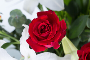 Flowers are clearly detailed and a beautiful backdrop.