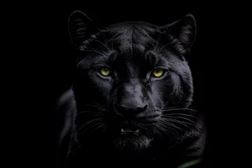Fototapete Panther Pantera negra sobre fondo negro