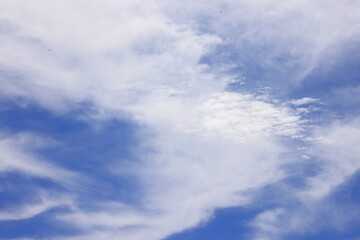 Fototapeta premium 空