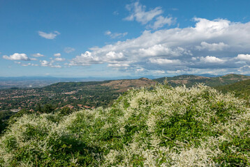 relaxing and idyllic panorama full of green vegetation in the Lazio countryside
