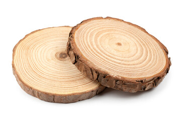 Cross section of tree trunks showing growth rings © larisabozhikova