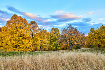 Beautiful autumn landscape with colorful trees on the hills. Autumn view in Romania
