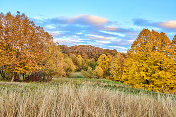 Beautiful autumn landscape with colorful trees on the hills. Autumn view in Romania