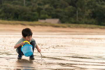 夕方の砂浜で遊ぶ男の子