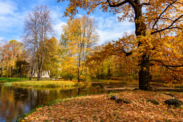 Catherine park in autumn foliage, Pushkin (Tsarskoe Selo), St. Petersburg, Russia