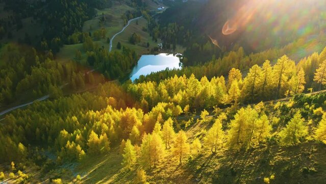 Switzerland, Pontresina, Alps, Swiss, Tourism, Mountain, Lake, Wood, Nature, 