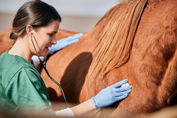 Woman vet, stethoscope and horse farm with wellness, healthcare and support with animal in...