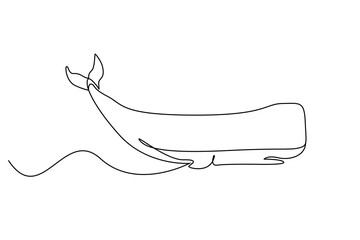 whale big fish simple line art design