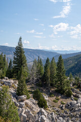 Fototapeta na wymiar Landscape in Yellowstone National Park