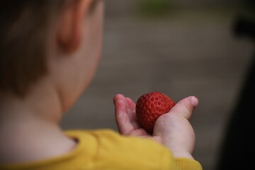 Child holding strawberry