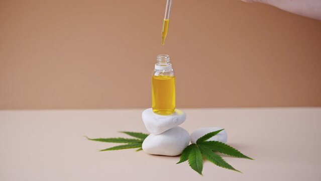 Bottle of face serum, CBD oil, THC tincture and cannabis leaves. Cannabis medical herbal extract. Medical CBD oil.