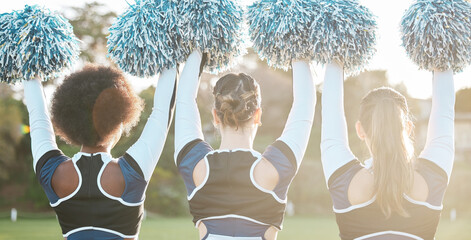 Back of cheerleader, sports and women on field for performance, dance and motivation for game....