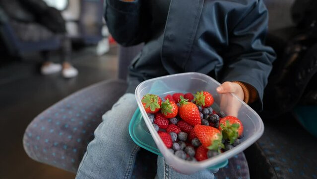 Close-up of kid hand holding  portable container with strawberries and blueberries, seated inside train transportation
