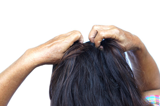 Woman use hands to scratch her itcy hair on head, isolated on white background. Concept, Hair health problems. Dandruff, fungus on scalp, allergic to shampoo or louse.           
