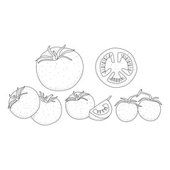 Hand drawn tomato set. cherry tomatoes doodle isolated on white background. Outline ink slyle sketch. Vector coloring illustration.