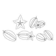 Set of star fruit or Carambola fruit hand drawn elements botanical illustration isolated on white background