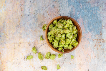 Fresh green horse in a wooden bowl on a tabletop. Wooden bowl filled with fresh green hops on the...