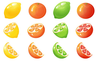 Cartoon style citrus fruit collection 