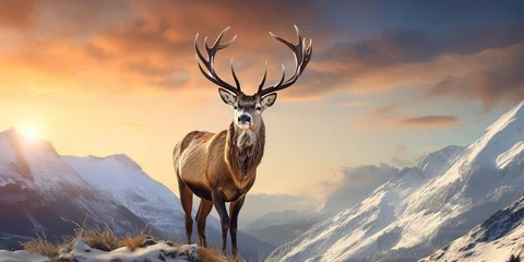 Fototapeten A red deer striking mountain peaks in a winter landscape © Zaleman