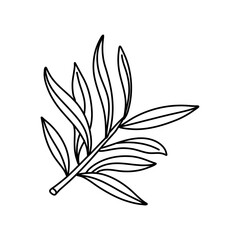 Hand drawn doodle illustrations of olive branches isolated on a white background.