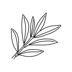 Hand drawn doodle illustrations of olive branches isolated on a white background.