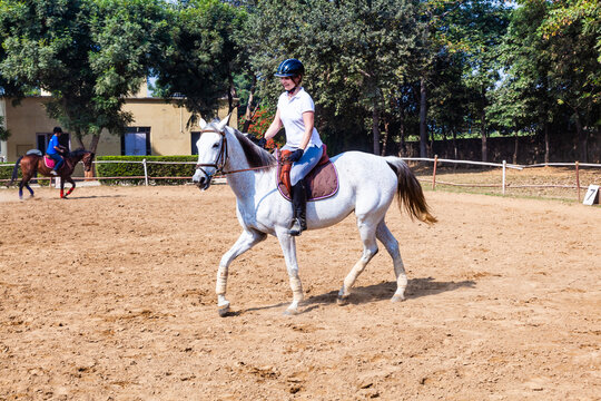 female rider trains the horse in the parcour