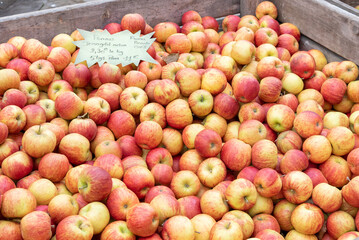 Pommes Jonagold dans un bac sur un marché